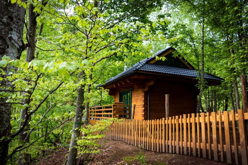 Z terasy Machošovej drevenice je krásny výhľad na les a potôčik v doline