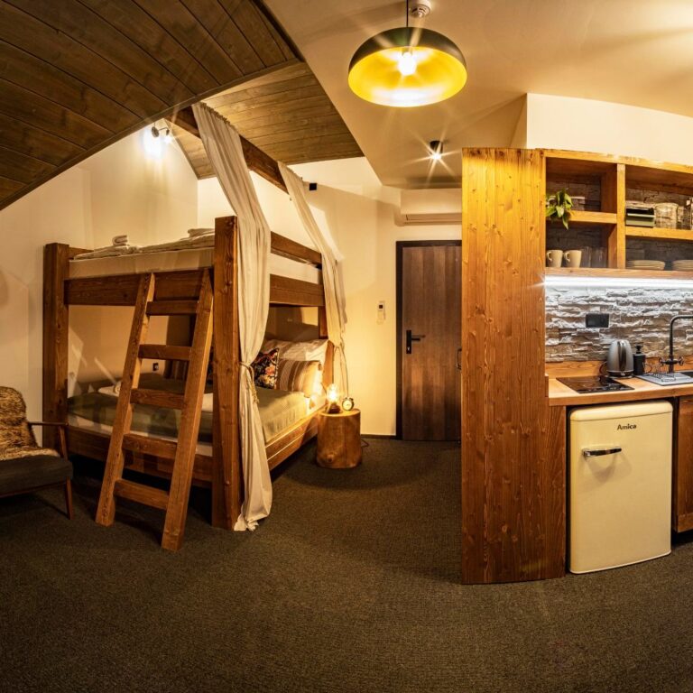 Room with a double bunk bed and a kitchenette
