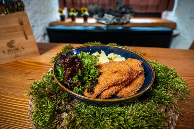 Chicken schnitzel