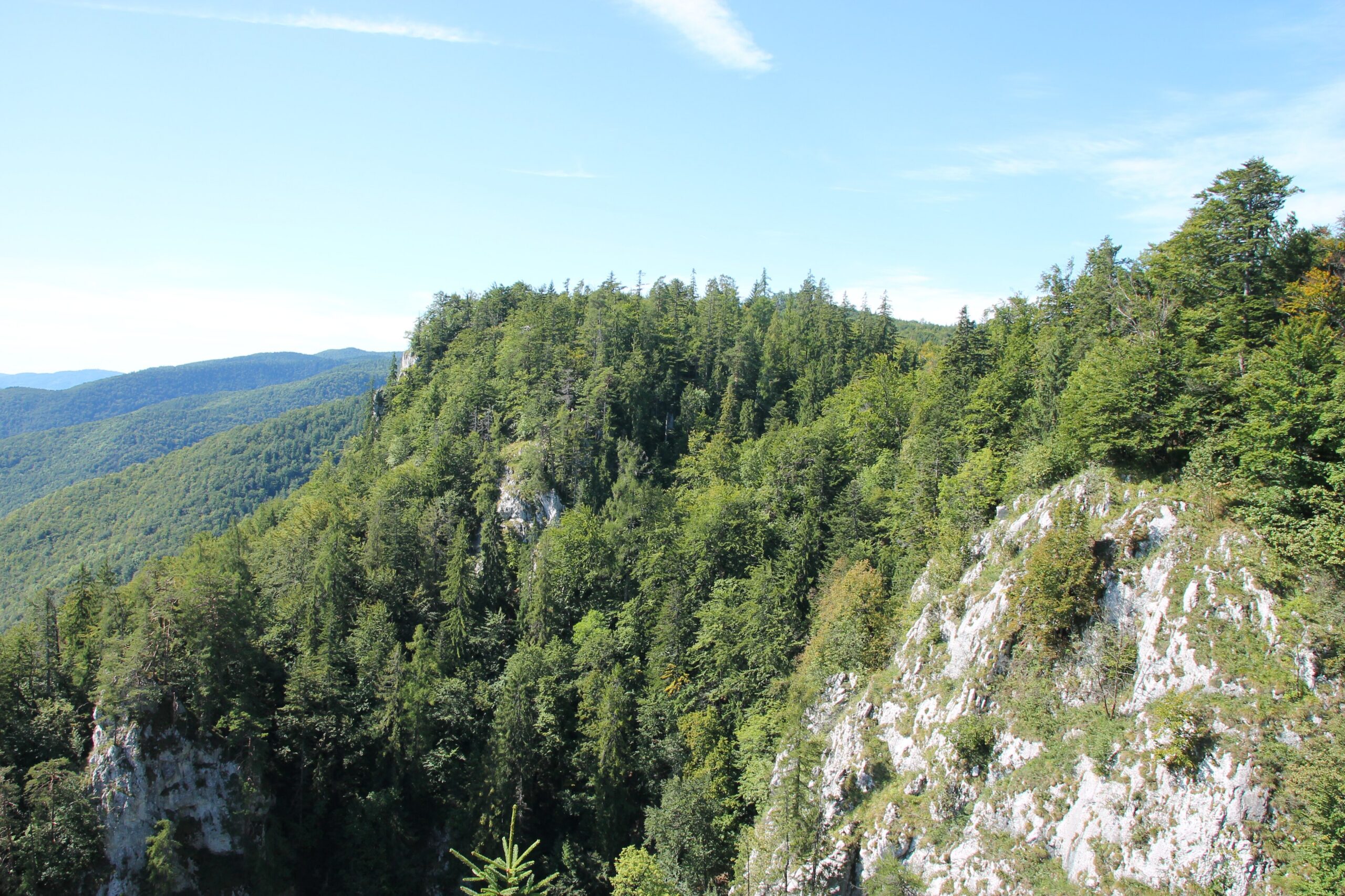 Muránská_planina,_07_–_Poludnica,_2019_(04)